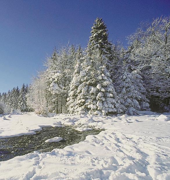 Vakantiepark Wilhelm Tell Superieur Chalet Opglabbeek Экстерьер фото